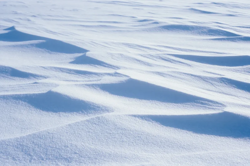 Close-up of undisturbed fresh snow surface with soft ridges and shadows under bright sunlight