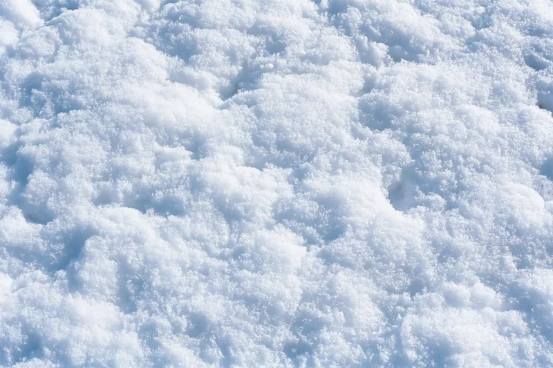 Close-up of fresh snow surface with crystalline texture filling the frame