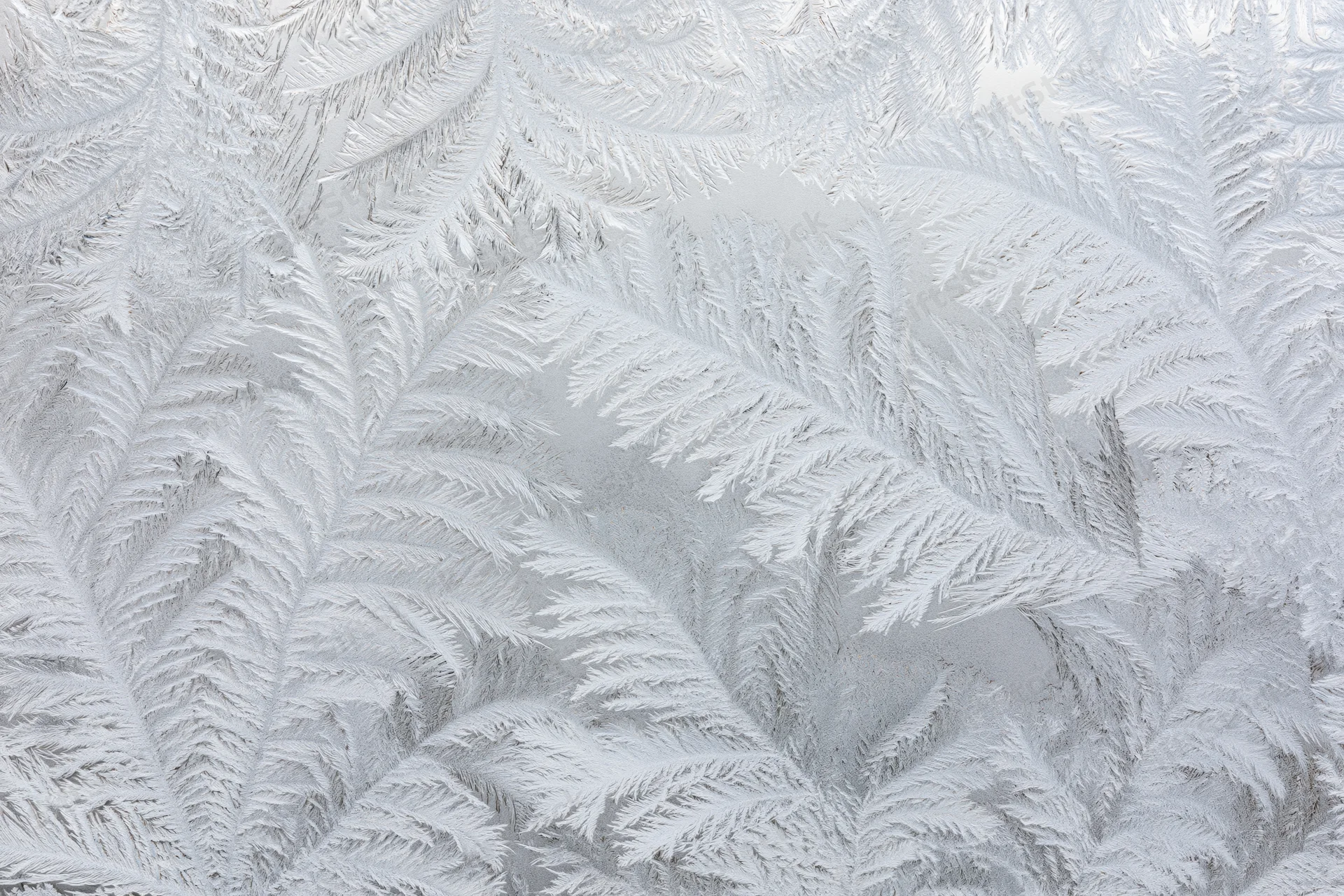 Frost crystal patterns forming on a surface in close-up macro view