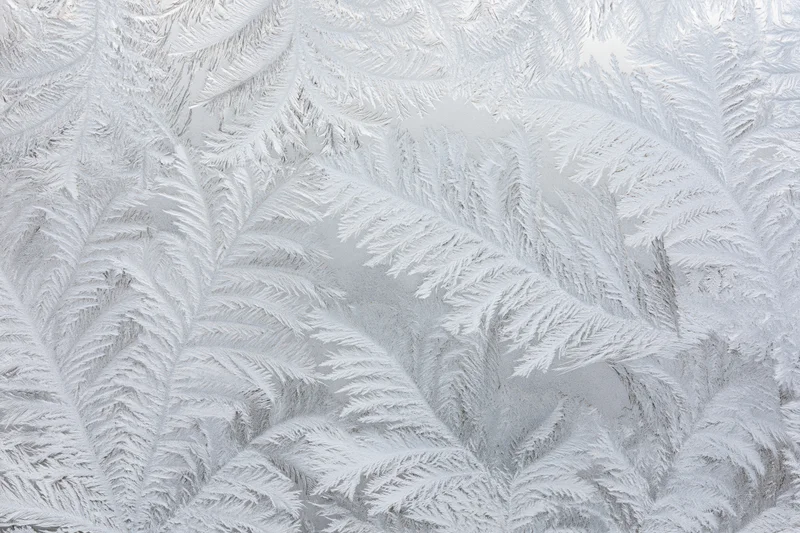 Frost crystal patterns forming on a surface in close-up macro view