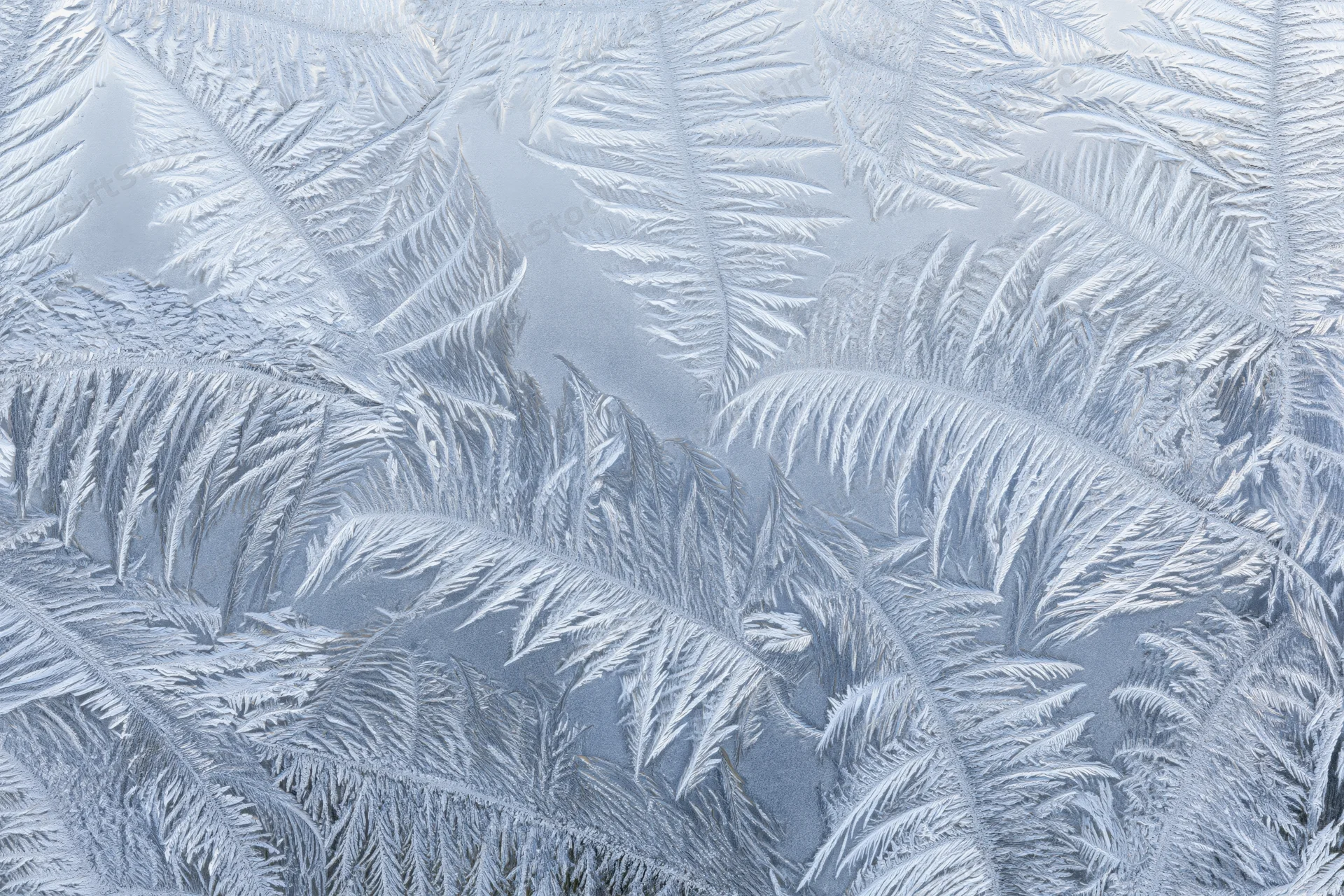 Frost crystal patterns forming on a glass surface in close-up macro view