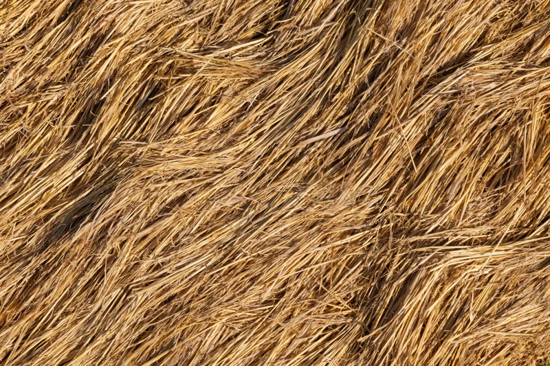 Close-up of tightly packed dry straw texture