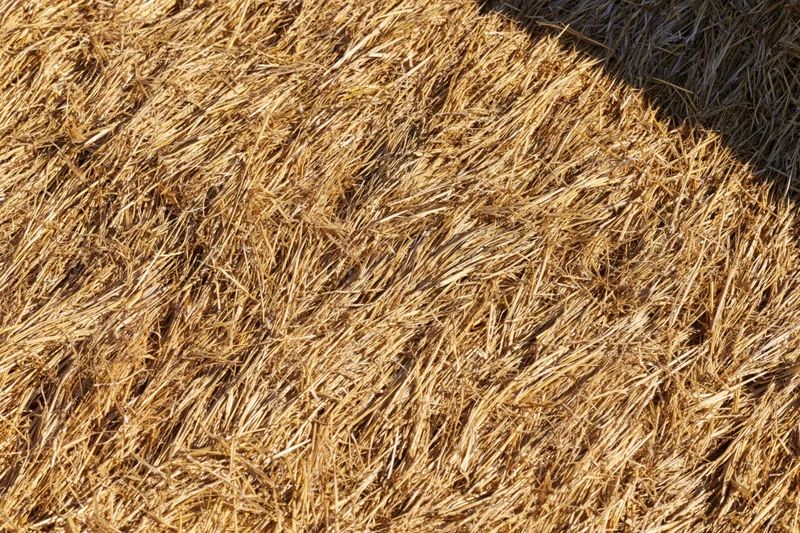 Close-up of tightly packed dry straw bale in sunlight