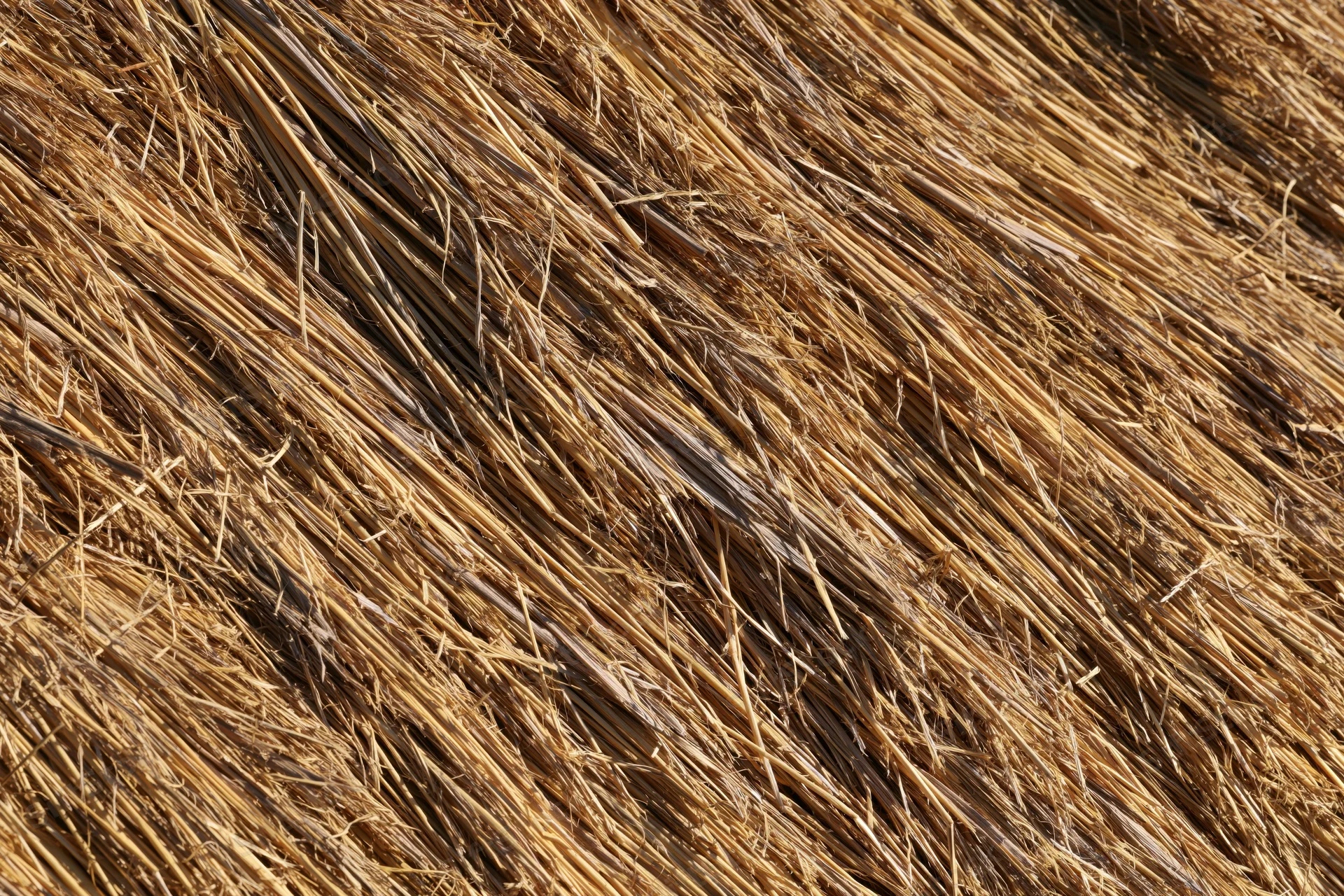 Close-up of tightly packed dry straw forming a thatched roof surface