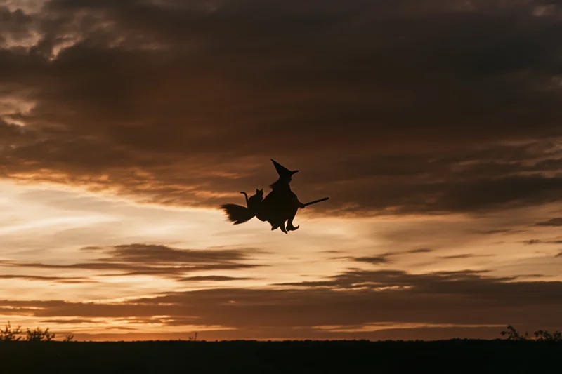 Silhouette of a witch in a pointed hat riding a broomstick across a cloudy sunset sky