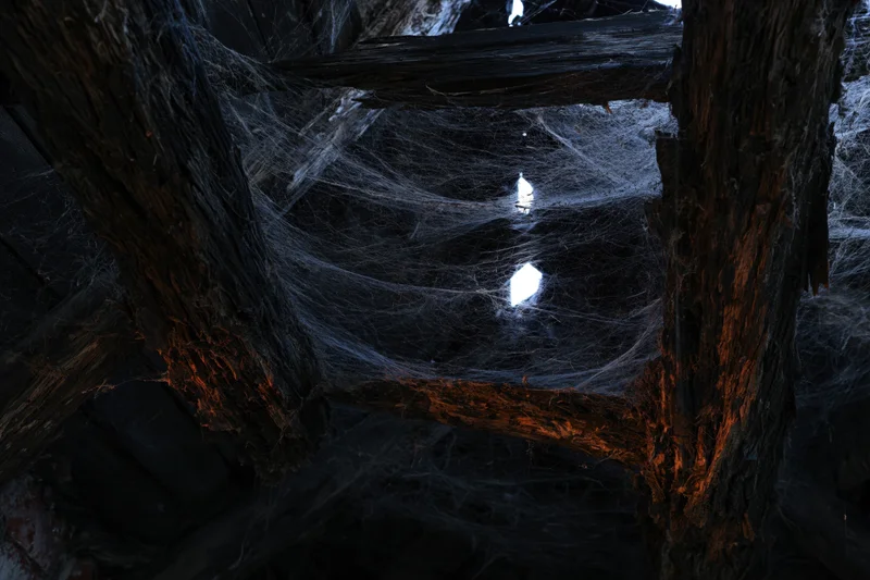 Dense spider webs spanning between rotting wooden beams in a dark, decaying interior