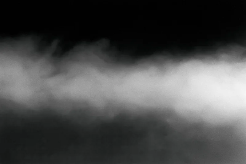 Dense white fog rolling horizontally across the frame forming a soft atmospheric layer