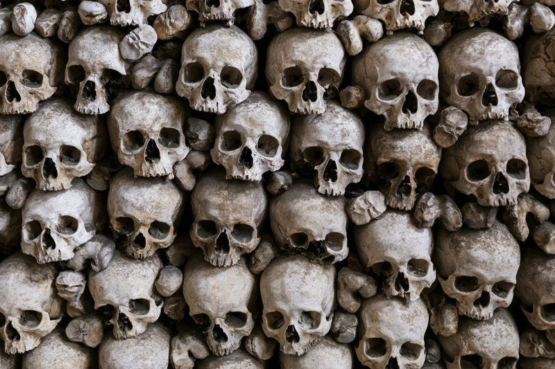 Densely packed aged human skulls and bones forming a wall in an ossuary