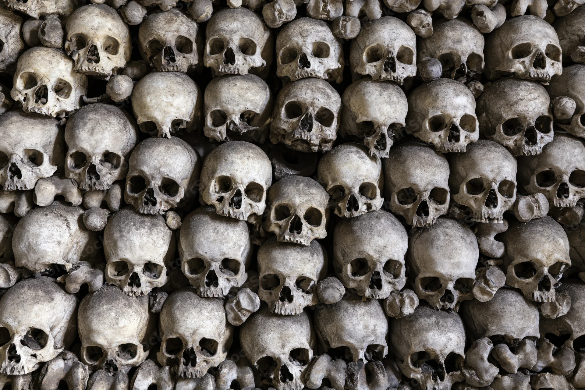 Densely packed aged human skulls and bones forming a wall in an ossuary