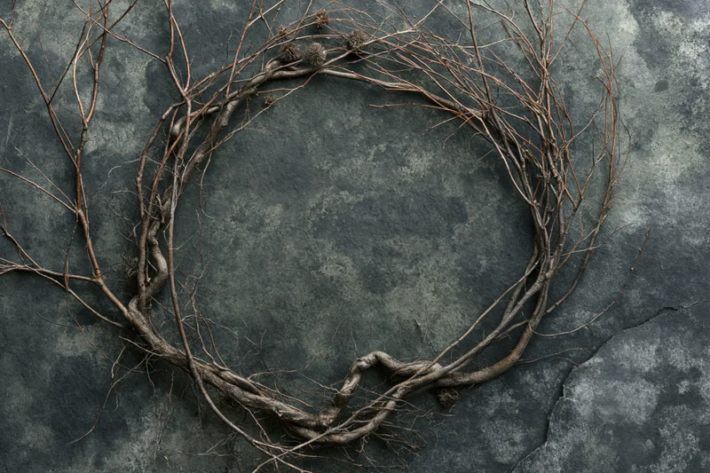 Dried branches and roots arranged in a circular wreath on a dark stone surface
