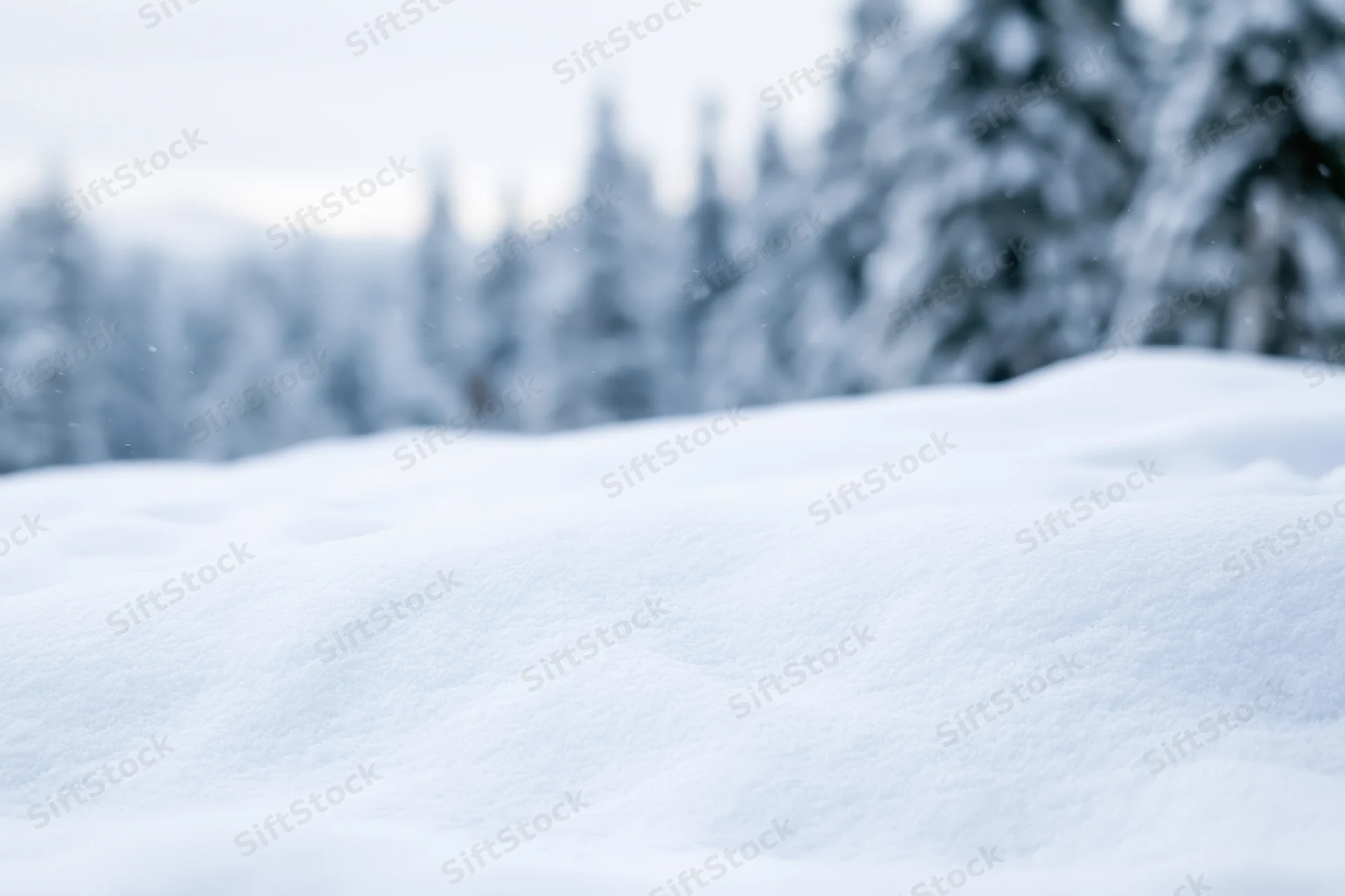 Snow-covered ground in a winter forest landscape with blurred trees in the background