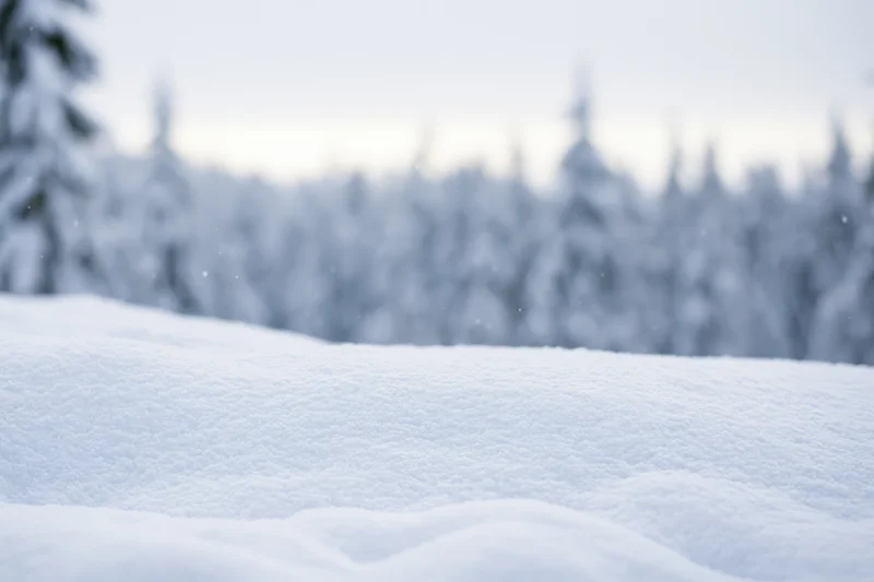 Snow-covered ground in a blurred winter forest landscape