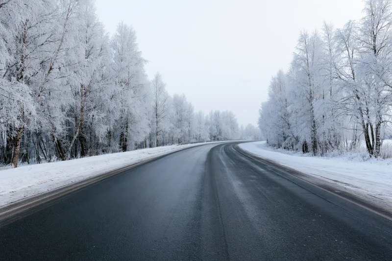 Winding asphalt road through snow-covered trees in winter landscape
