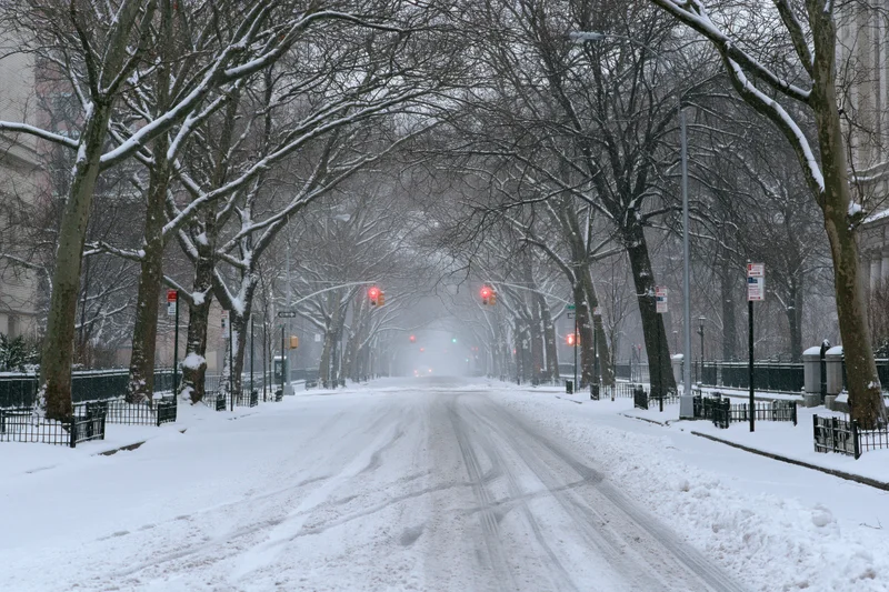 Snow-covered urban street lined with bare trees during heavy snowfall