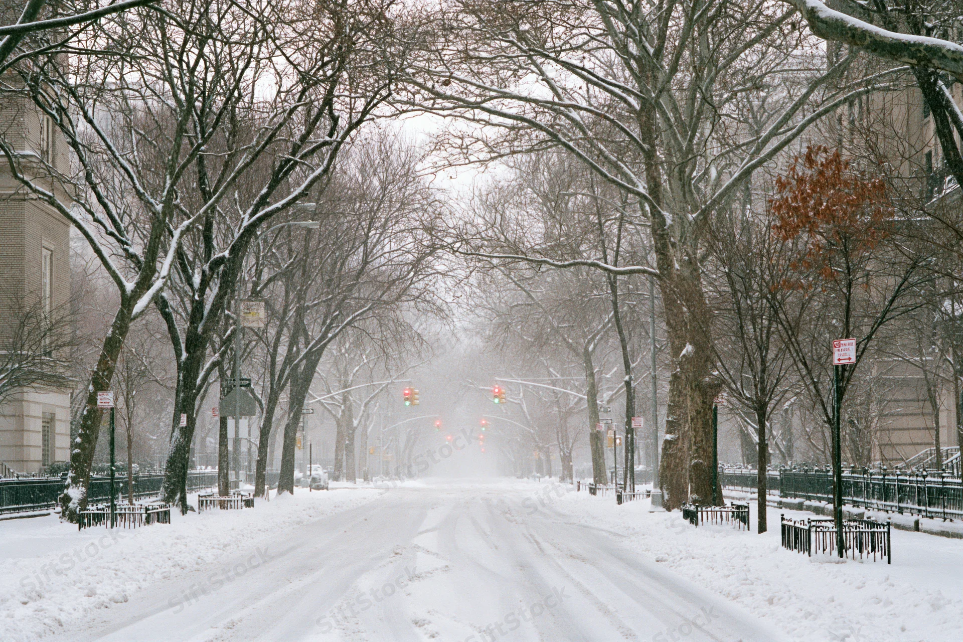 Snow-covered urban street lined with bare trees during heavy snowfall