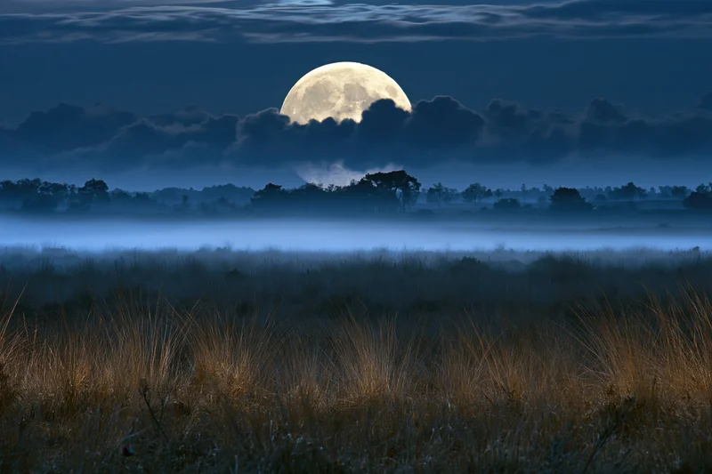 Full moon rising low over a misty field at night with silhouetted trees and clouds in the sky