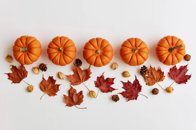 Five small orange pumpkins arranged in a row with autumn leaves and pinecones on a white surface