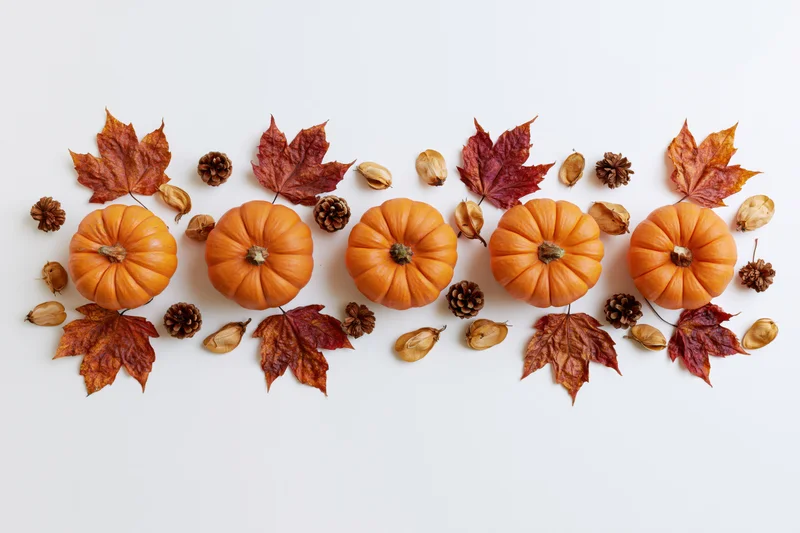 Five small orange pumpkins arranged in a row with autumn leaves and pinecones on a white surface