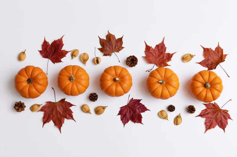 Five small orange pumpkins arranged in a row with red maple leaves and pinecones on a white background