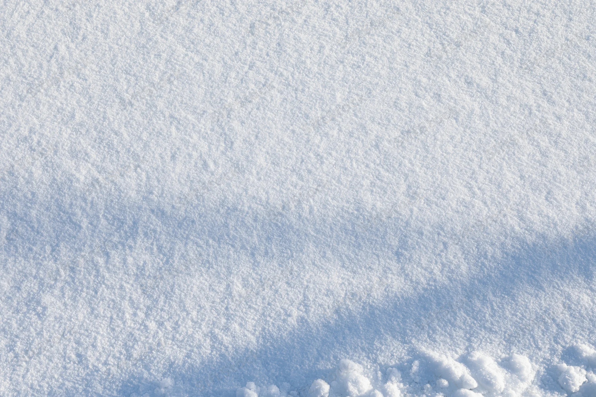 Closeup of fresh snow covering the ground in a flat expanse under bright daylight