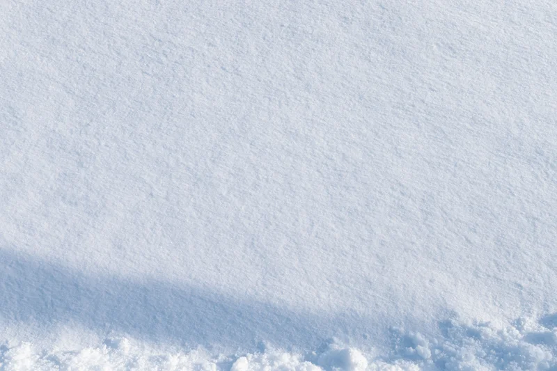 Fresh snow covering the ground in a flat expanse under winter light