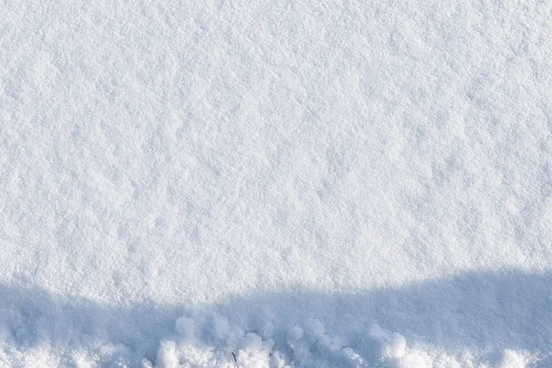Close-up of fresh snow covering the ground in a flat expanse