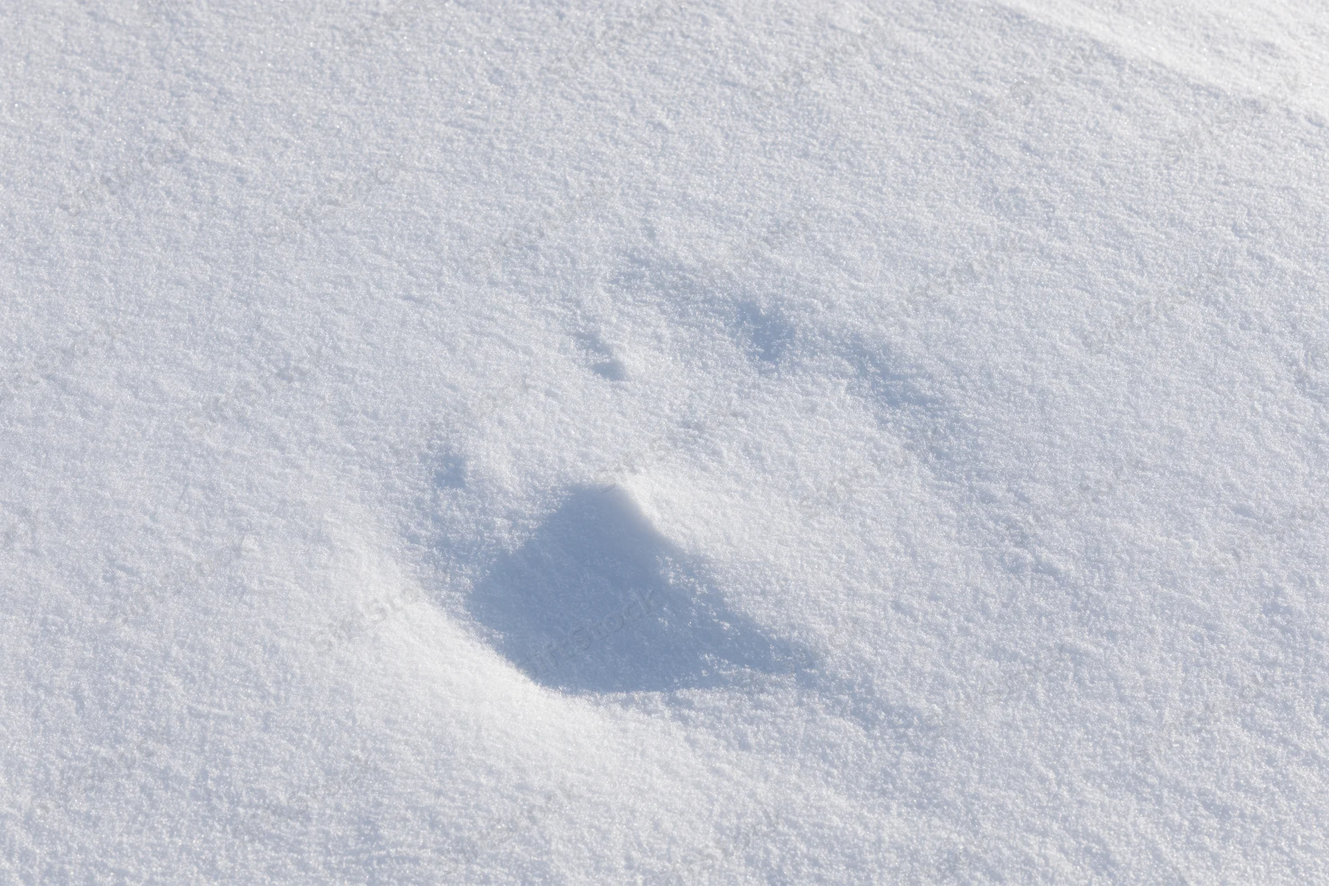 A single footprint in fresh snow on an open field