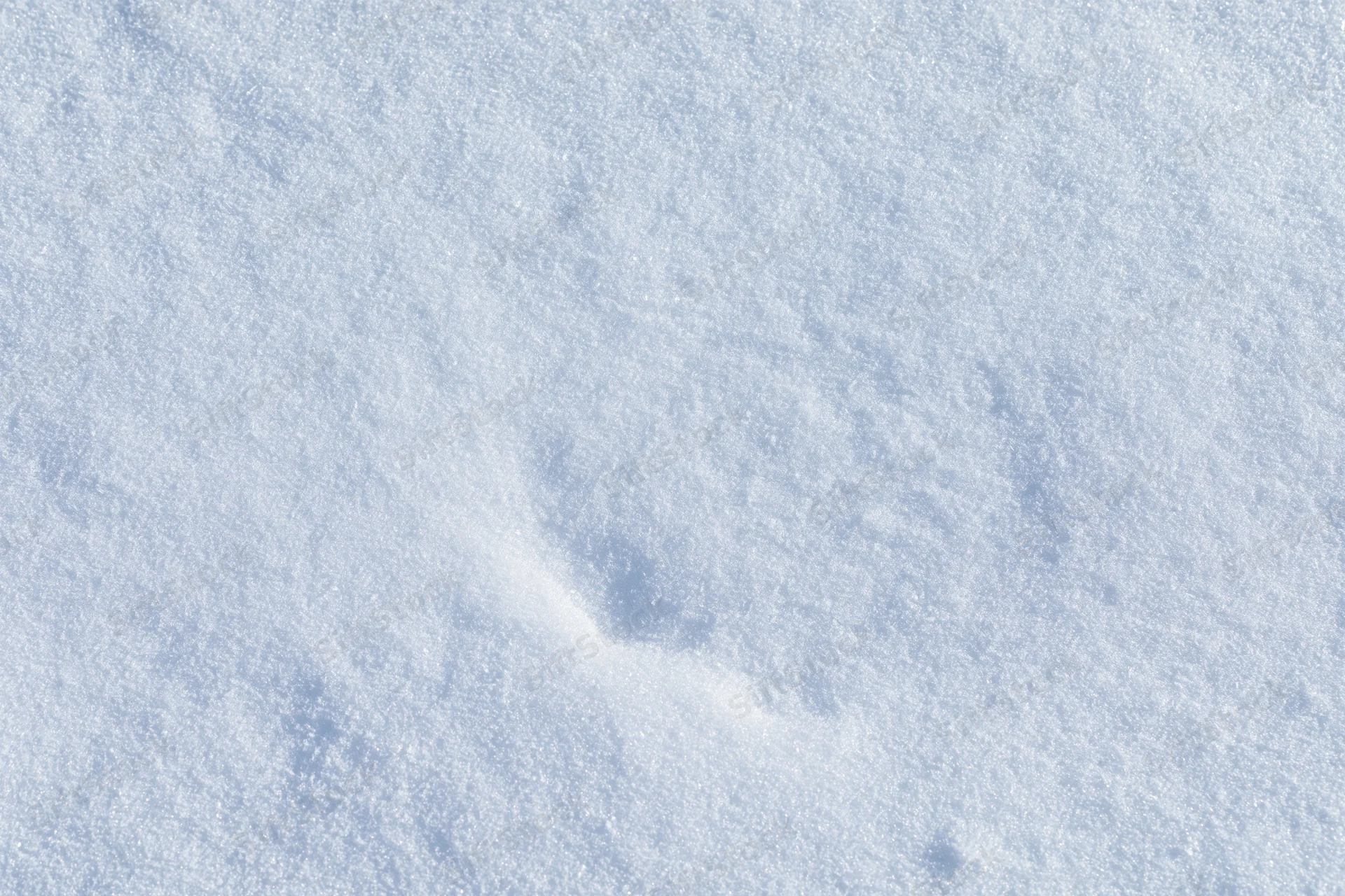 Close-up of fresh undisturbed snow covering the ground