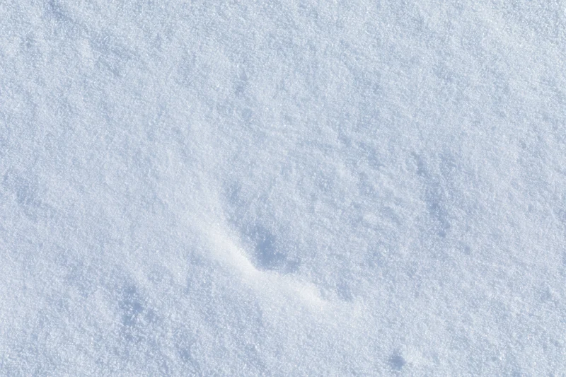 Close-up of fresh undisturbed snow covering the ground