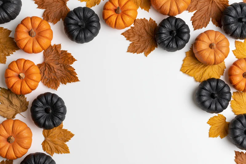 Small orange and black pumpkins with autumn leaves arranged in a border on white surface