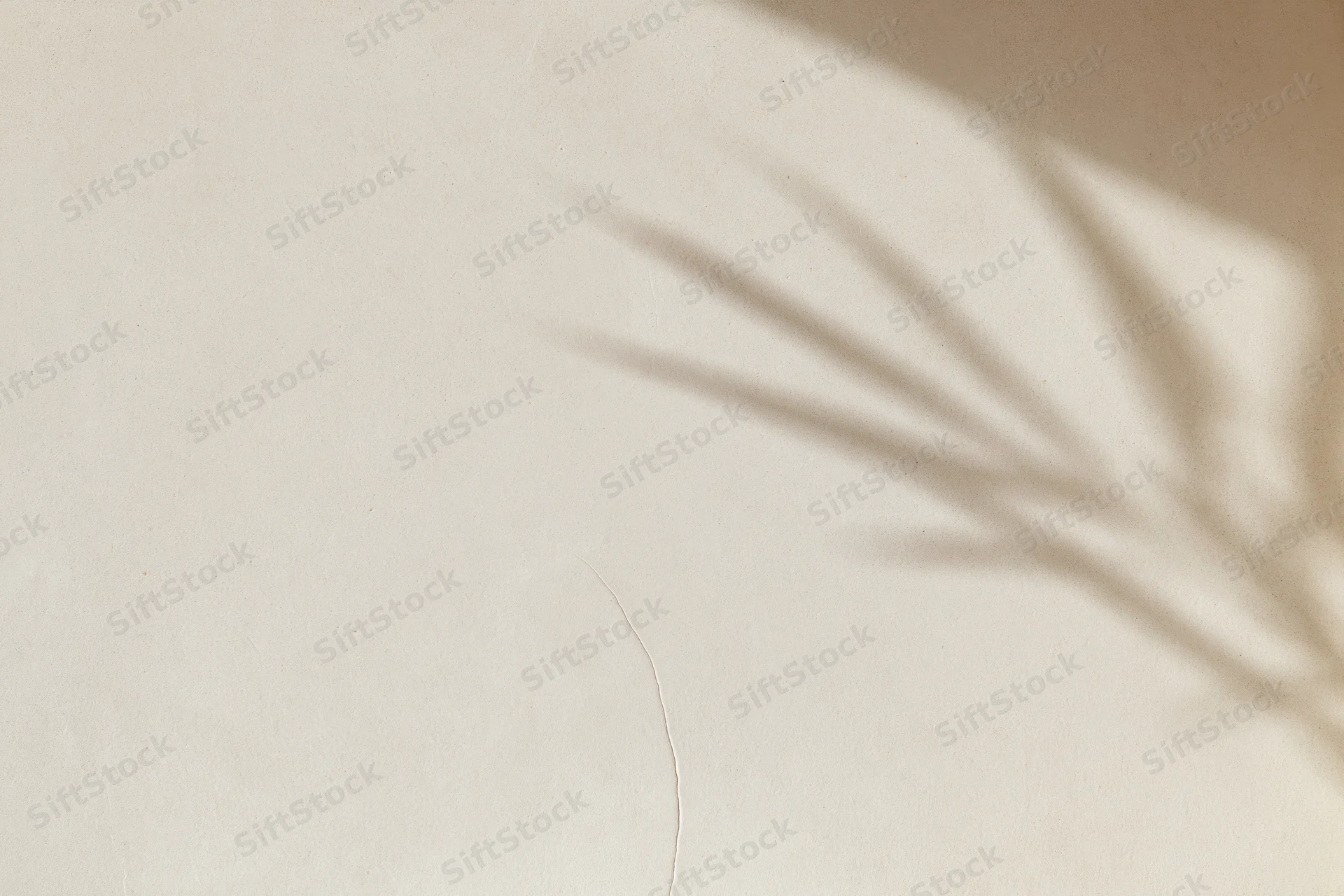 Shadow of a leaf on a smooth beige plaster wall