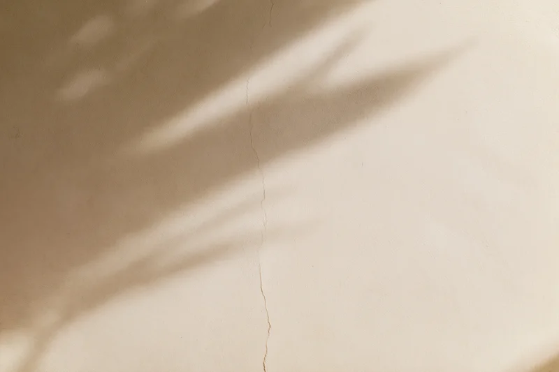 Shadow of foliage on a smooth beige plaster wall with a vertical crack
