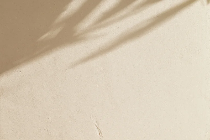 Smooth beige plaster wall with plant shadow in natural light