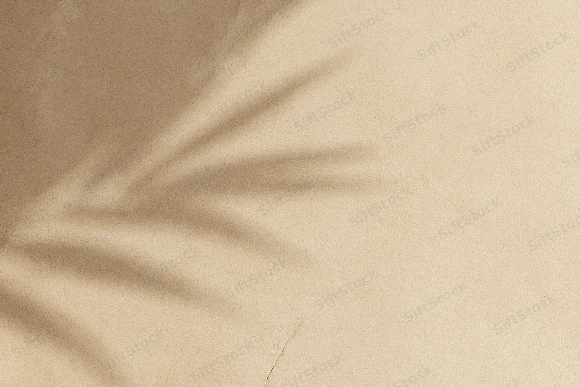 Shadow of a leaf on a smooth beige plaster wall