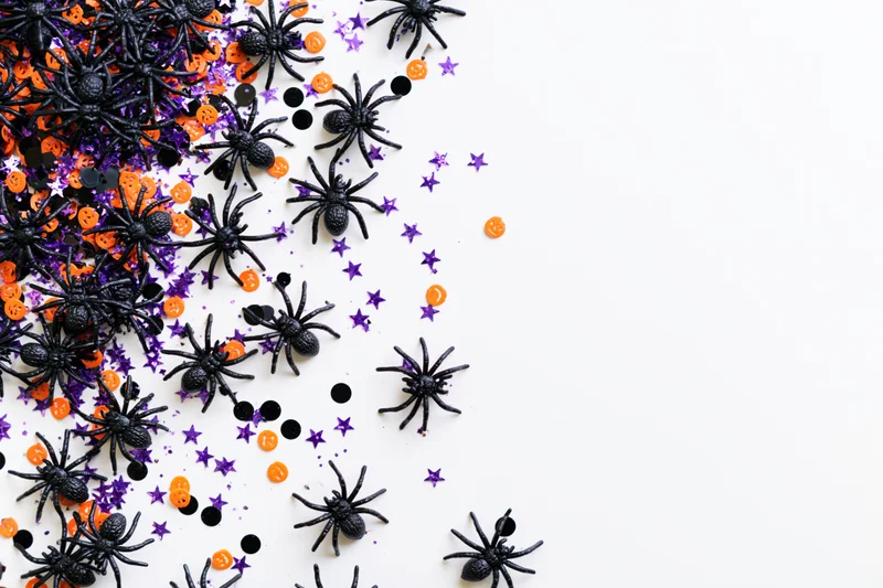 Black plastic toy spiders and colorful confetti scattered on white surface for halloween decoration