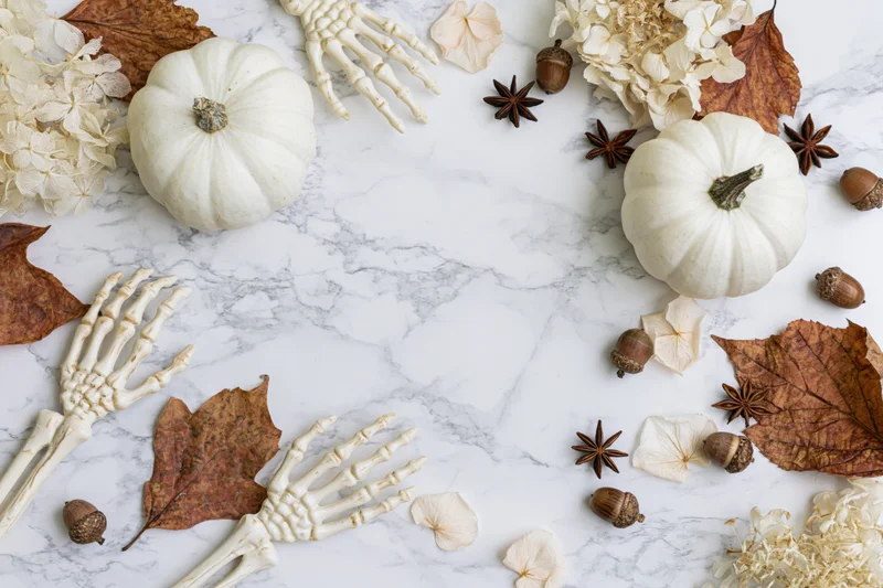 White pumpkins and skeleton hands arranged with dried leaves and flowers on marble surface for halloween decoration