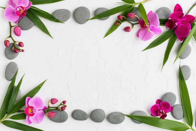 Flat lay spa composition with orchids, bamboo leaves and stones arranged as a border frame on white textured surface