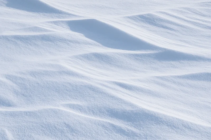 Undisturbed snow surface with gentle drifts and soft shadows across a winter landscape