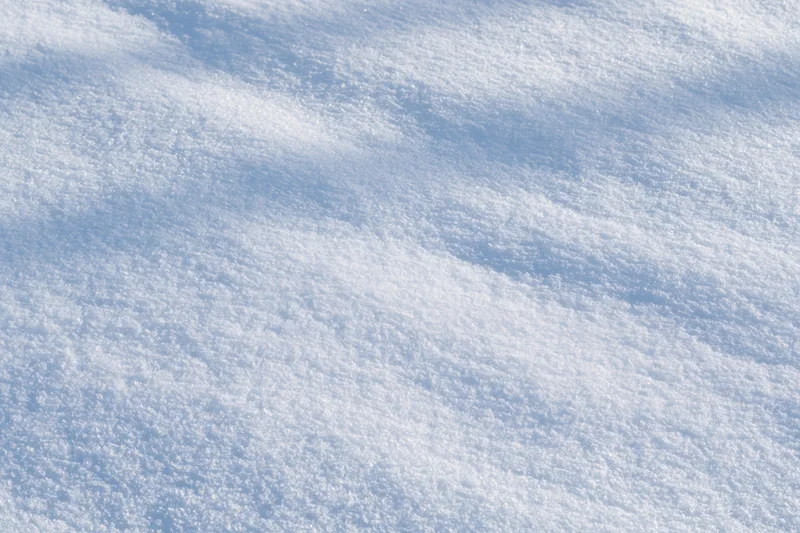 Undisturbed snow surface filling the frame with soft shadows and texture