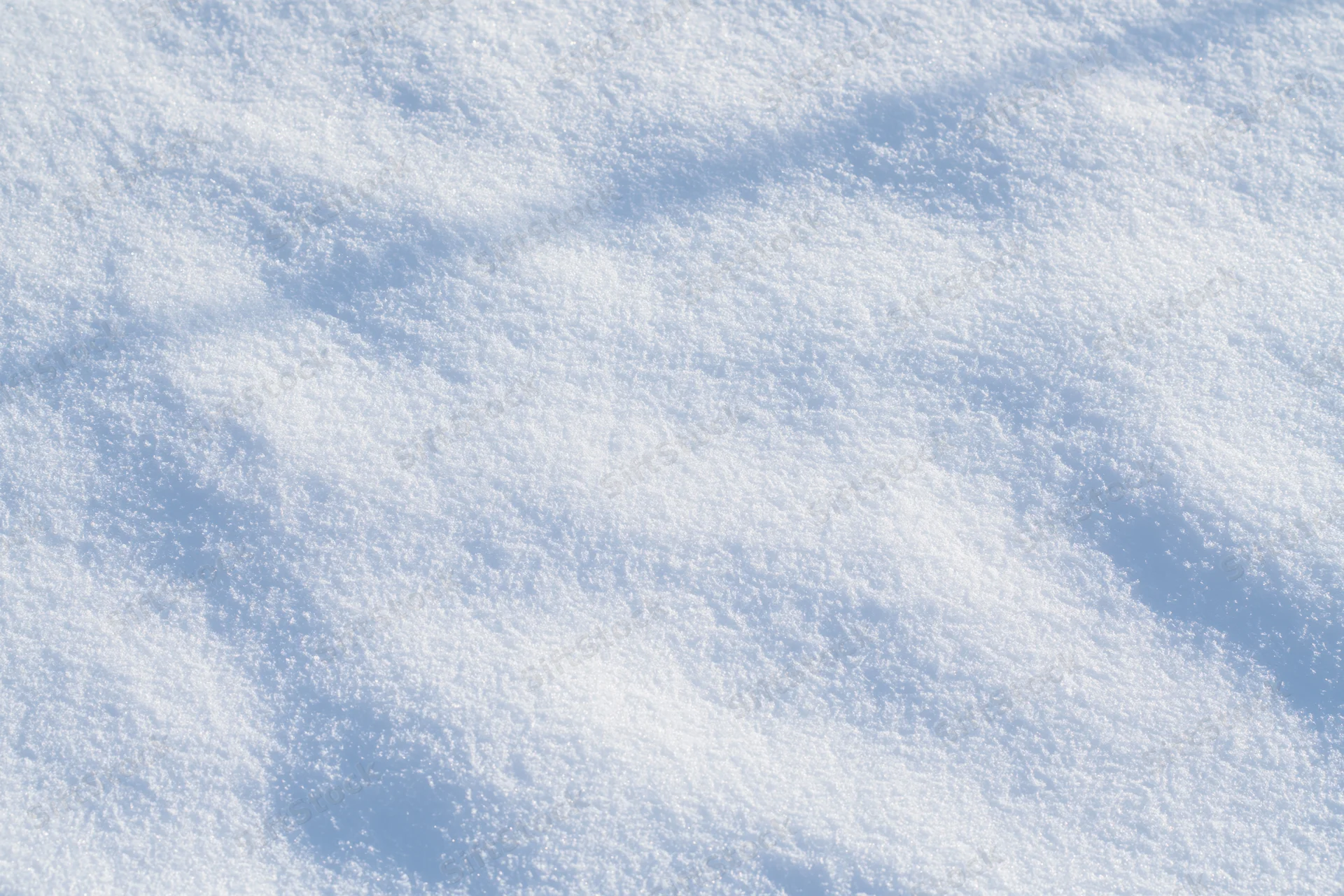 Undisturbed snow surface covering the ground in bright daylight