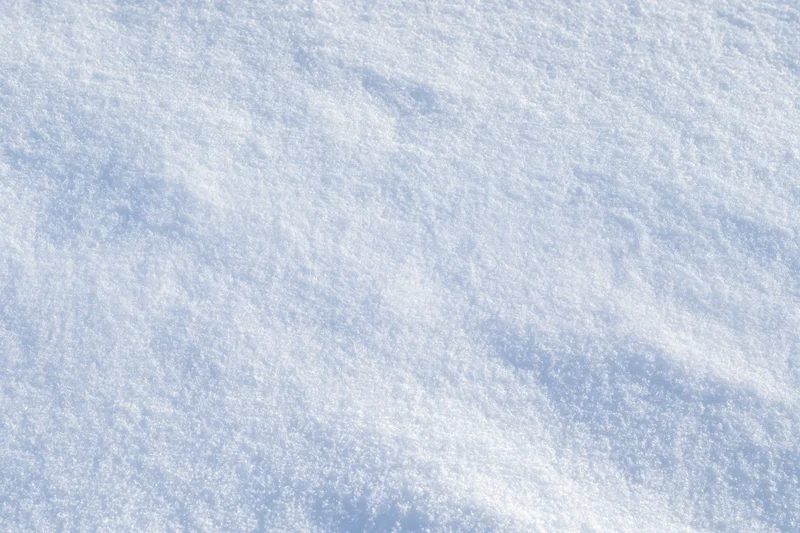 Undisturbed snow surface filling the frame