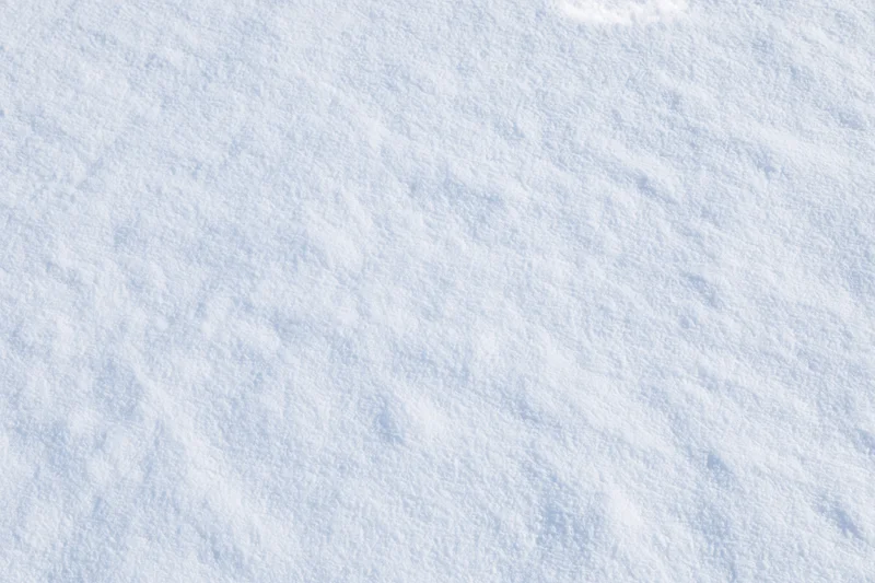 Undisturbed snow surface filling the frame