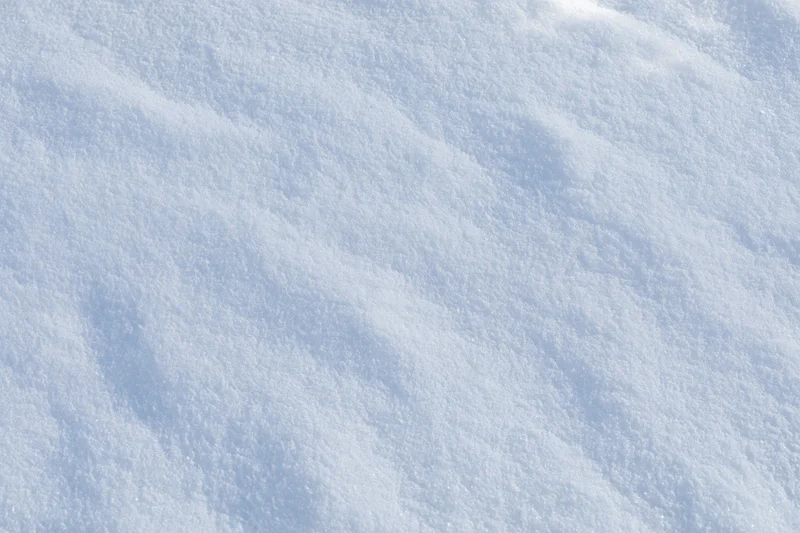 Undisturbed snow surface filling the frame