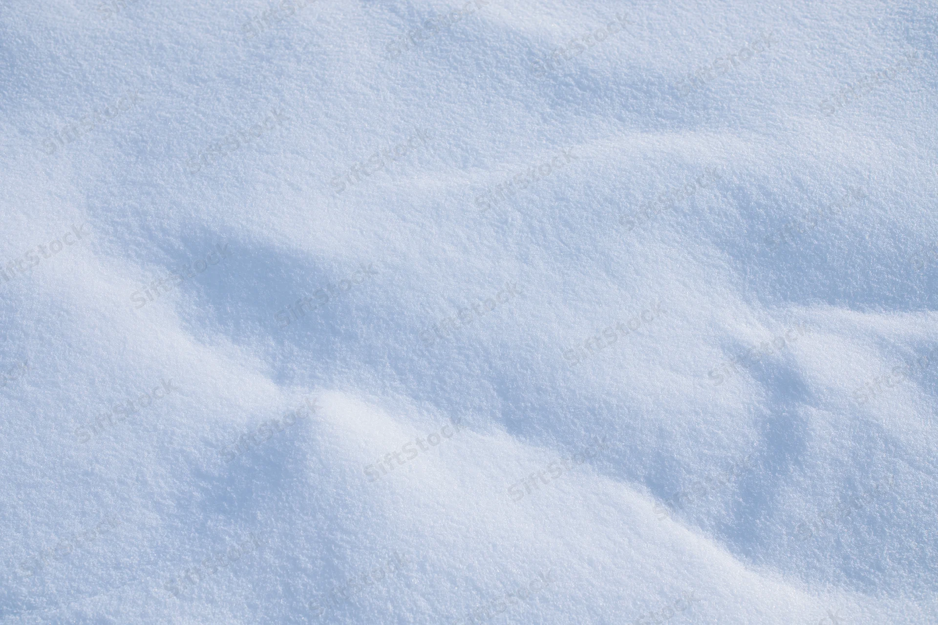 Undisturbed snow surface filling the frame with soft texture and gentle shadows