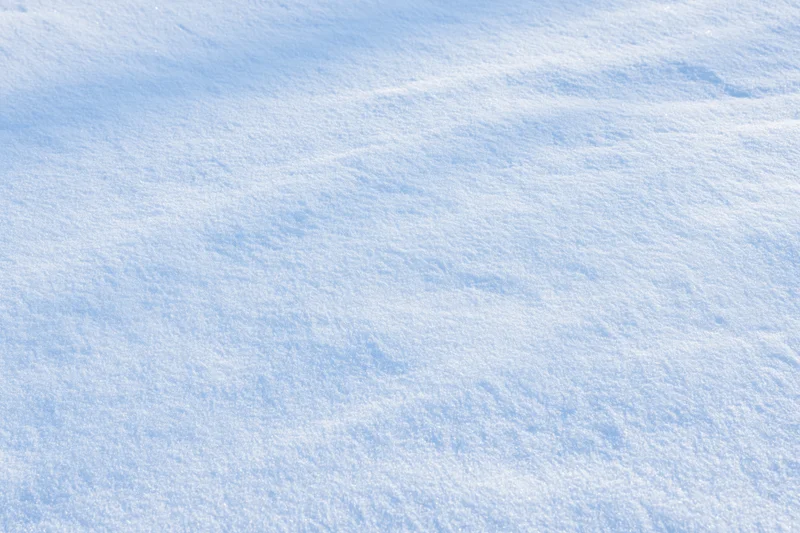 Undisturbed snow surface covering the ground in a winter landscape