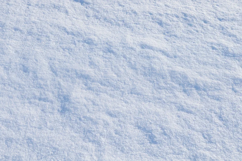 Undisturbed snow surface filling the frame