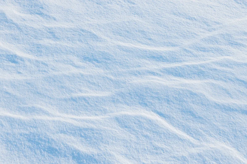 Undisturbed snow surface filling the frame
