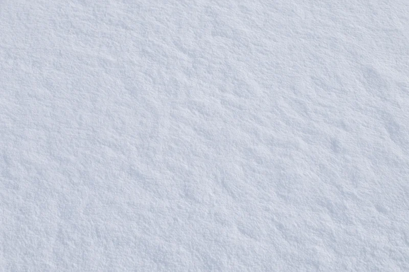 Undisturbed snow surface filling the frame