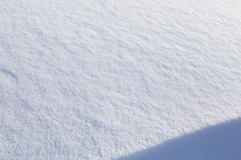 Undisturbed snow surface under bright light with soft shadow across the frame