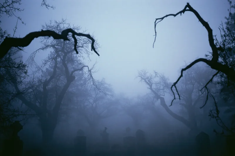 Foggy graveyard at night with silhouetted bare dead trees and tombstones